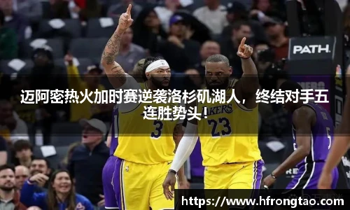 3377体育官网