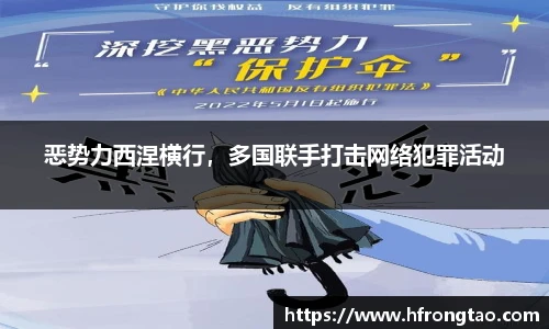 3377体育直播